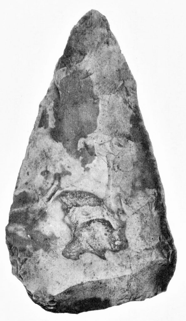 A handaxe, about 130,000 years old.