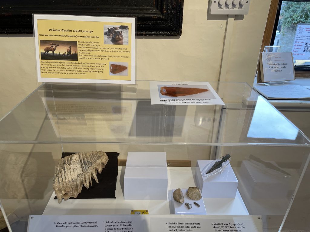 Cabinet of prehistoric artefacts, including a mammoth tooth, flints and a spearhead.